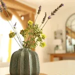 Maison Mayjune Irai