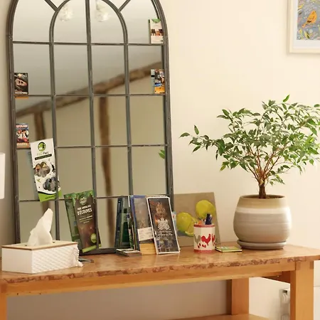 Maison Mayjune *